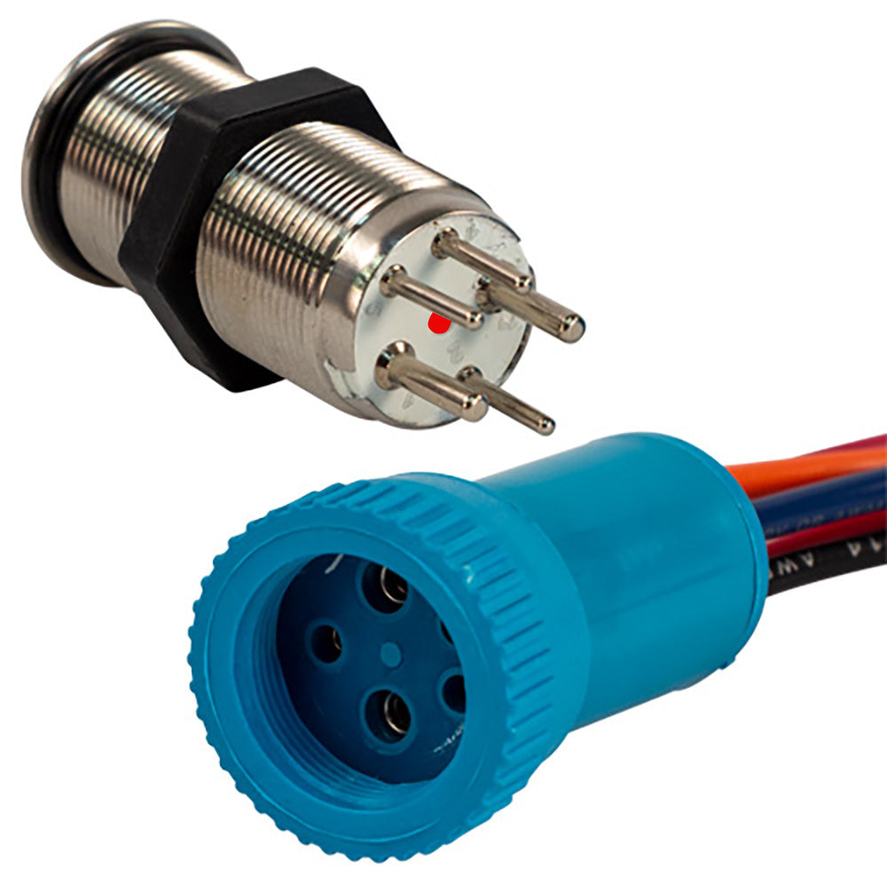 Bluewater 19mm Push Button Switch  OffOn Contact  BlueRed LED  4 Lead 905711134