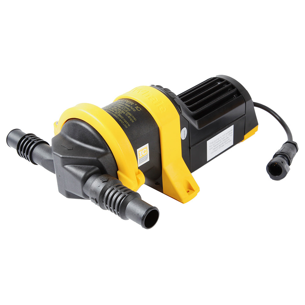Whale Gulper IC Waste Pump  24V BP2084B